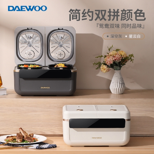 大宇（DAEWOO） 家用智能多功能迷你双胆智能养生电饭煲 DYFB-4020 深空灰 4L